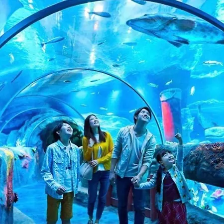 Disneyland Paris Holidays Montévrain